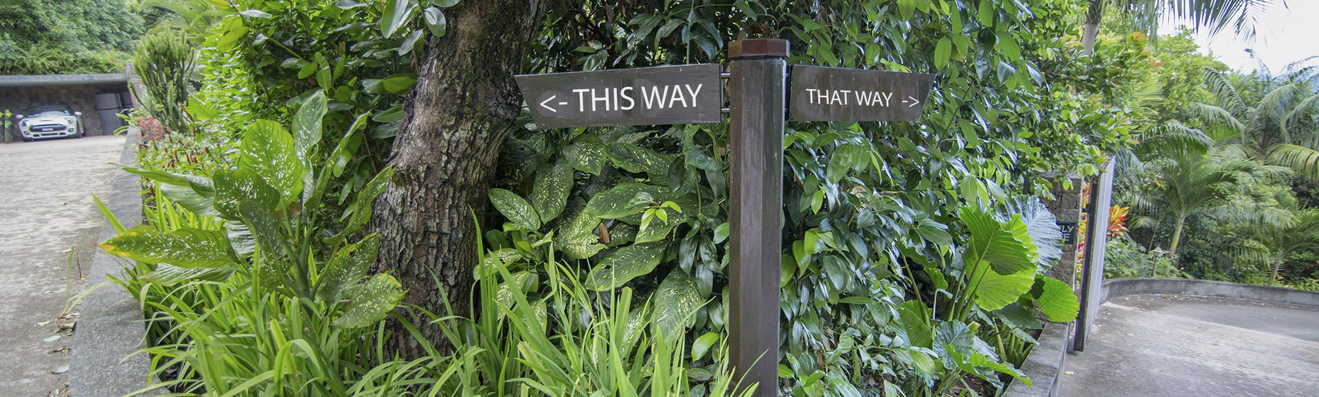 Scenic Landscaping - Seychelles - Landscaping Consultants - hero_3