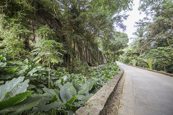 Scenic_Landscaping_Seychelles_Environmental_Rehabilitation