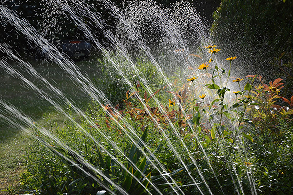 Scenic_Landscaping_Seychelles_Irrigation_ (1)