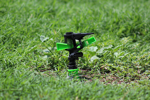 Scenic_Landscaping_Seychelles_Irrigation_ (12)