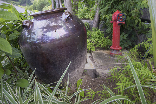 Scenic_Landscaping_Seychelles_Irrigation_ (13)