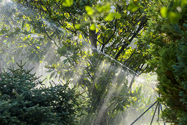 Scenic_Landscaping_Seychelles_Irrigation_ (2)