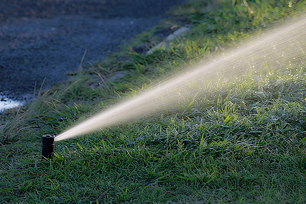 Scenic_Landscaping_Seychelles_Irrigation_ (23)