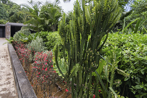 Scenic_Landscaping_Seychelles_Irrigation_ (3)