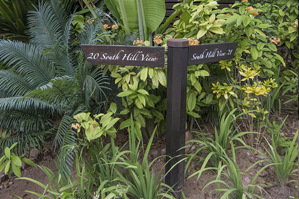 Scenic_Landscaping_Seychelles_Irrigation_ (4)