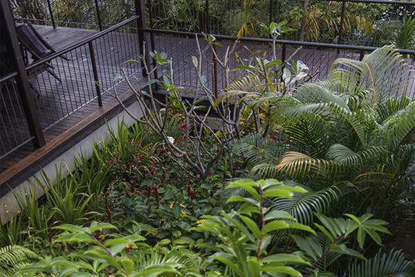 Scenic_Landscaping_Seychelles_Irrigation_ (5)