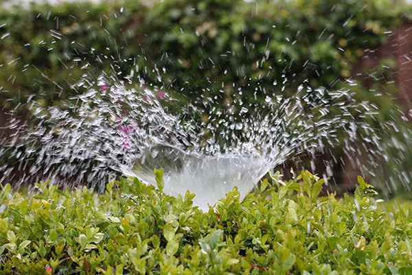 Scenic_Landscaping_Seychelles_Irrigation_ (9)