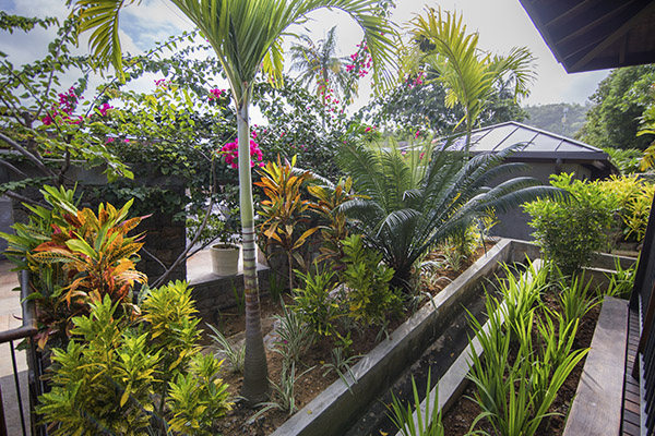 Scenic_Landscaping_Seychelles_Landscaping Consultancy_ (1)