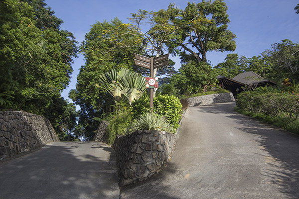 Scenic_Landscaping_Seychelles_Landscaping Consultancy_ (11)