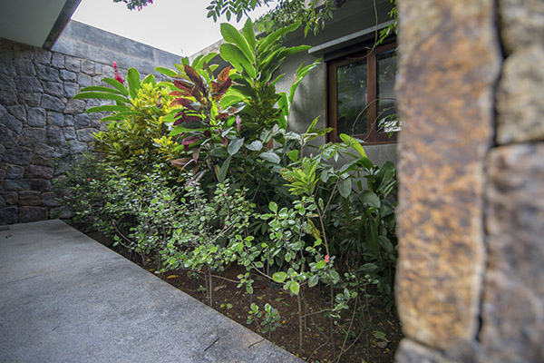 Scenic_Landscaping_Seychelles_Landscaping Consultancy_ (14)