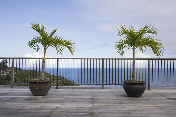 Scenic_Landscaping_Seychelles_Landscaping Consultancy_ (21)