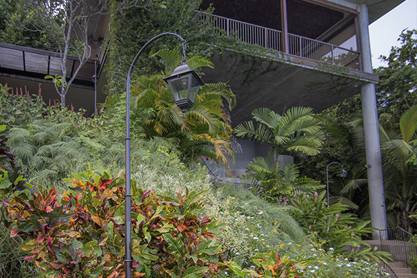 Scenic_Landscaping_Seychelles_Landscaping Consultancy_ (4)