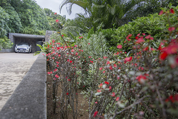 Scenic_Landscaping_Seychelles_Landscaping Consultancy_ (5)