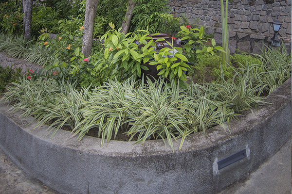 Scenic_Landscaping_Seychelles_Landscaping Consultancy_ (6)