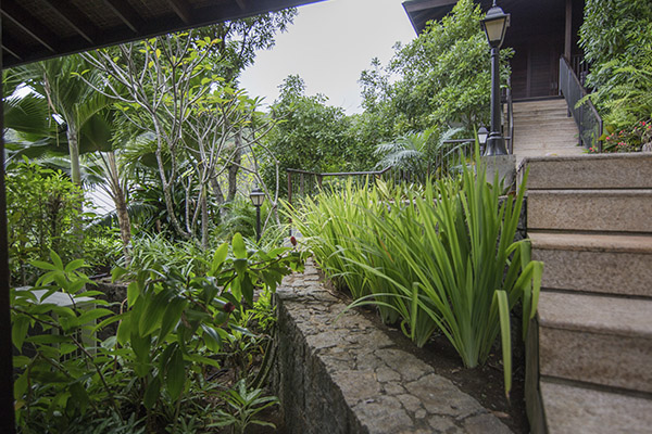 Scenic_Landscaping_Seychelles_Landscaping Consultancy_ (8)