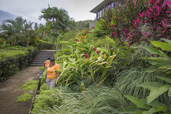 Scenic_Landscaping_Seychelles_landscaping_ (10)
