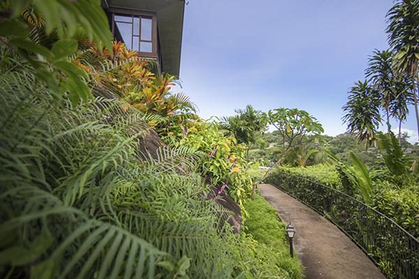 Scenic_Landscaping_Seychelles_landscaping_ (12)