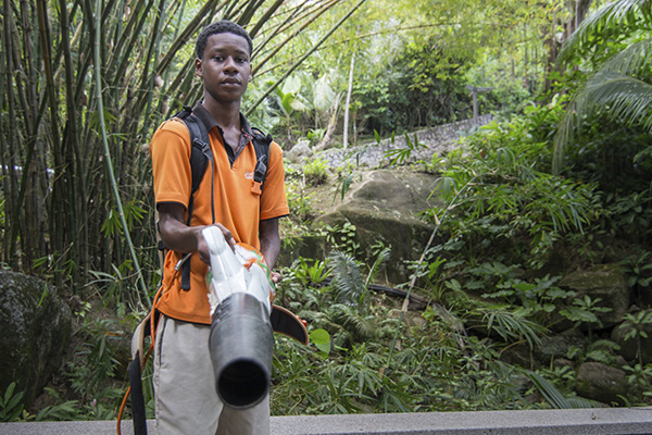 Scenic_Landscaping_Seychelles_landscaping_ (14)