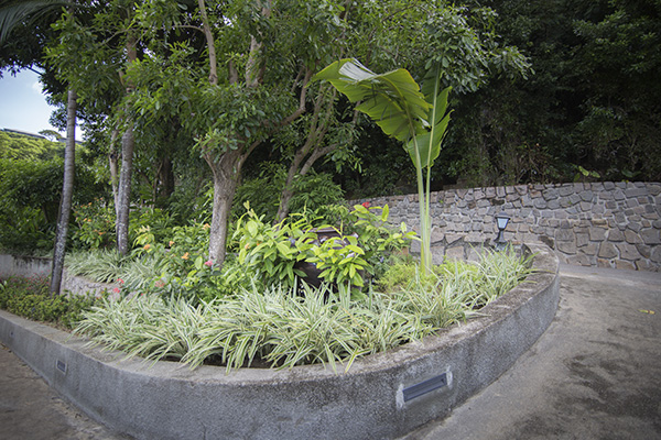 Scenic_Landscaping_Seychelles_landscaping_ (15)