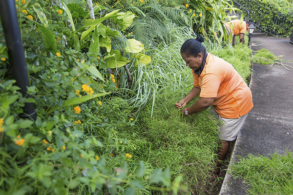 Scenic_Landscaping_Seychelles_landscaping_ (16)