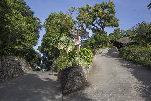 Scenic_Landscaping_Seychelles_landscaping_ (17)