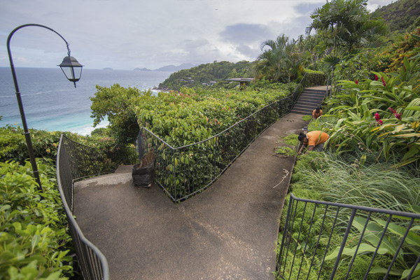 Scenic_Landscaping_Seychelles_landscaping_ (18)