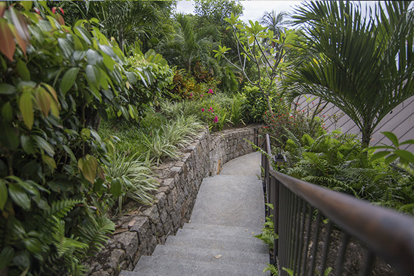 Scenic_Landscaping_Seychelles_landscaping_ (20)