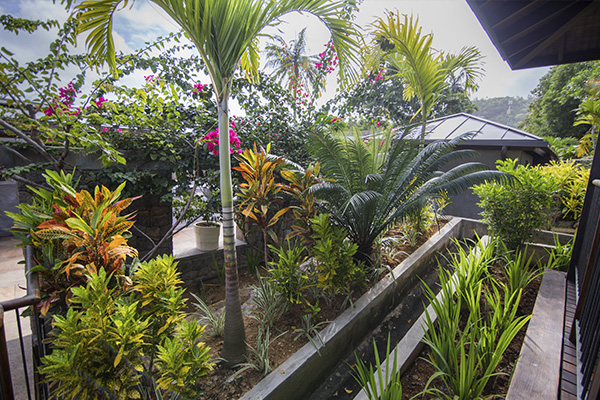 Scenic_Landscaping_Seychelles_landscaping_ (21)