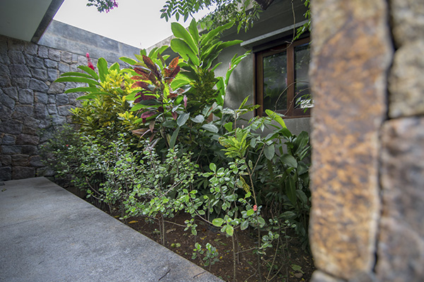 Scenic_Landscaping_Seychelles_landscaping_ (6)