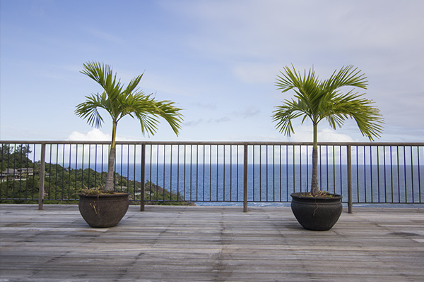 Scenic_Landscaping_Seychelles_landscaping_ (7)