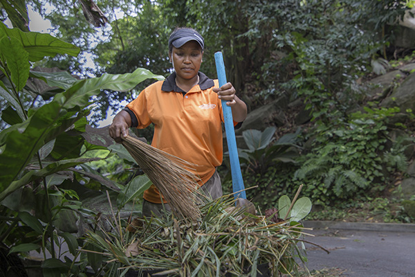 Scenic_Landscaping_Seychelles_landscaping_ (9)