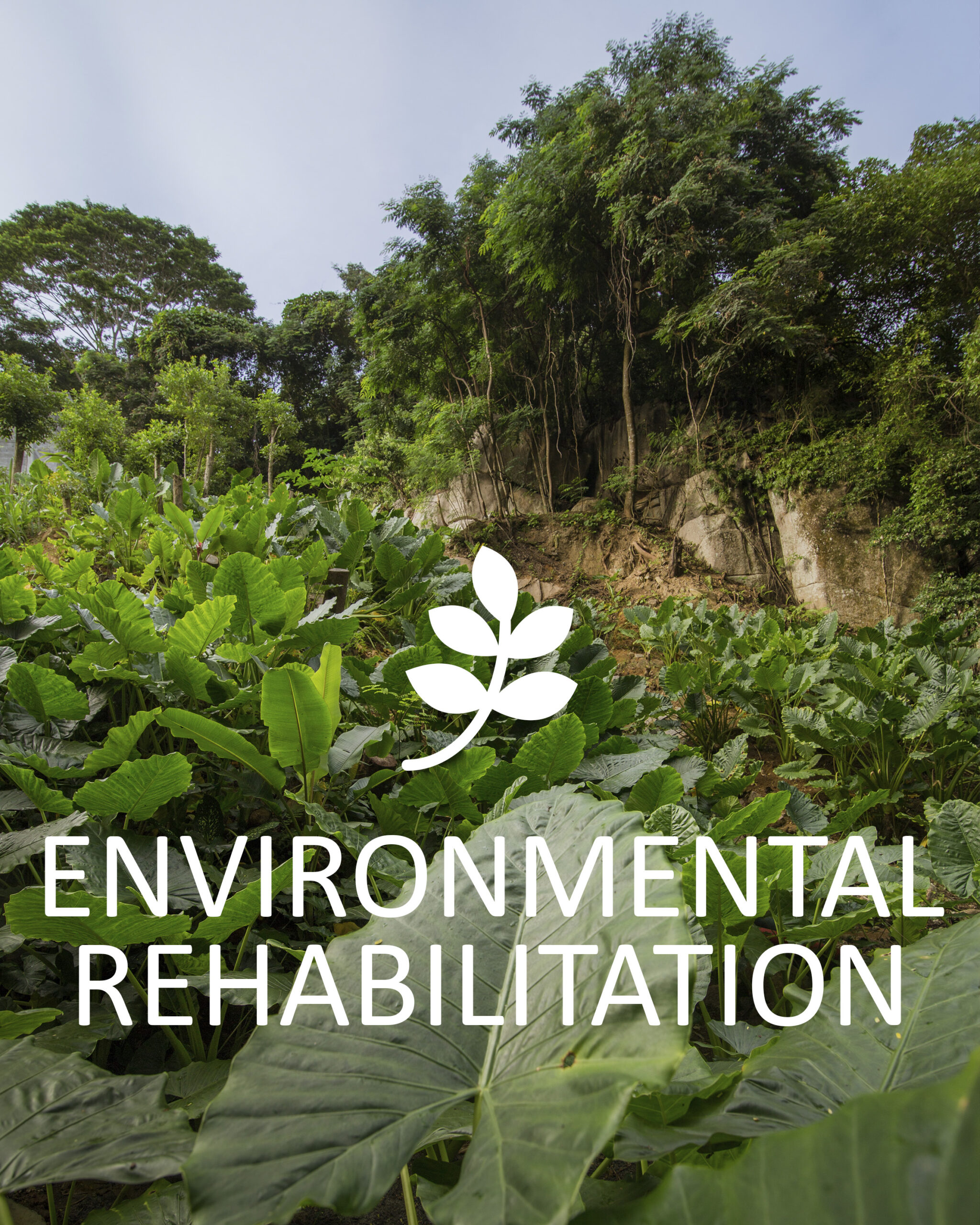 Scenic_Landscaping_Environmental_Rehabilitation_Services_Seychelles