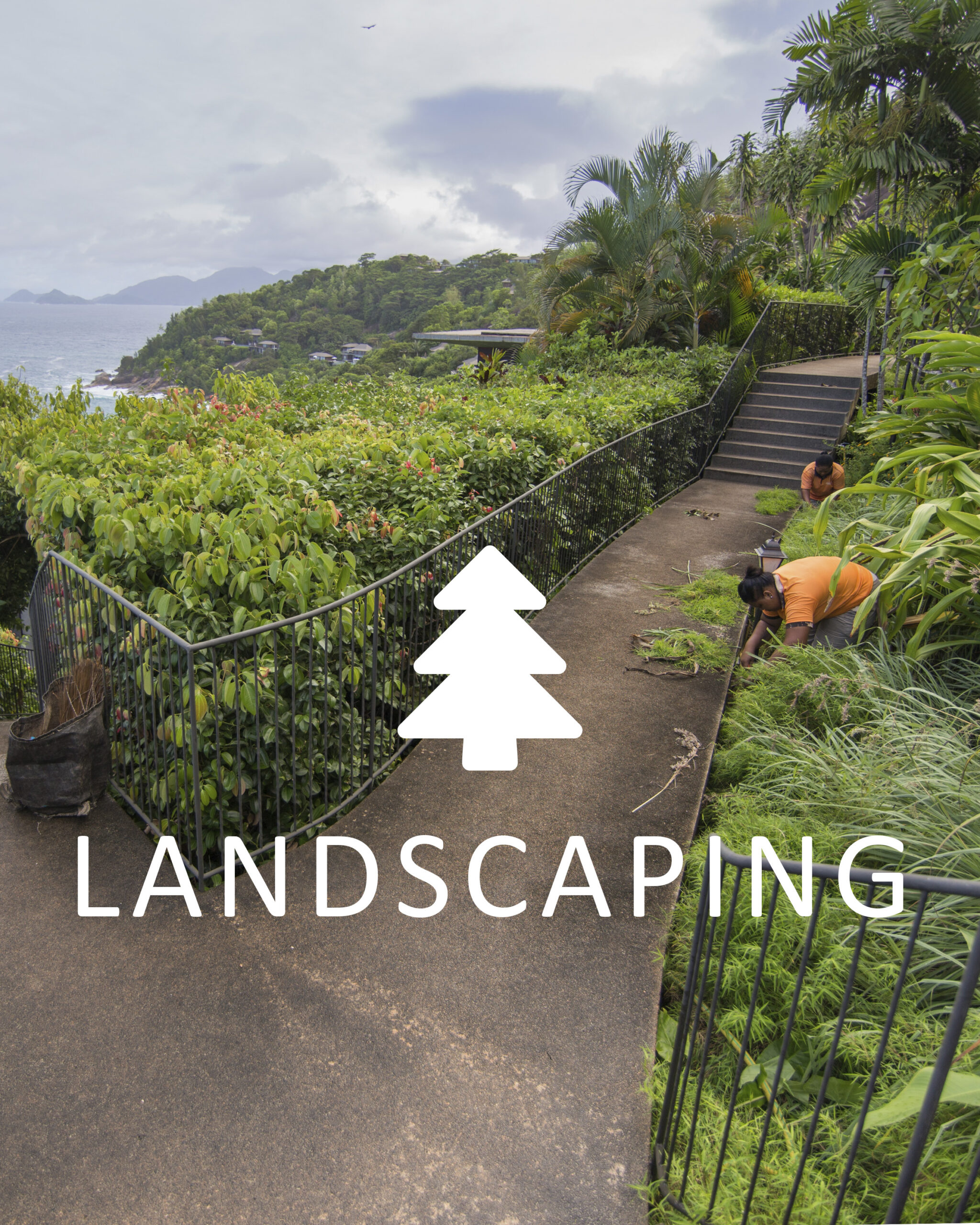 Scenic_Landscaping_Services_Seychelles