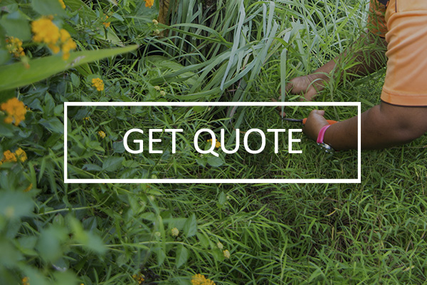Scenic_Landscaping_Services_Seychelles_Get_Quote