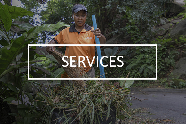 Scenic_Landscaping_Services_Seychelles_Services